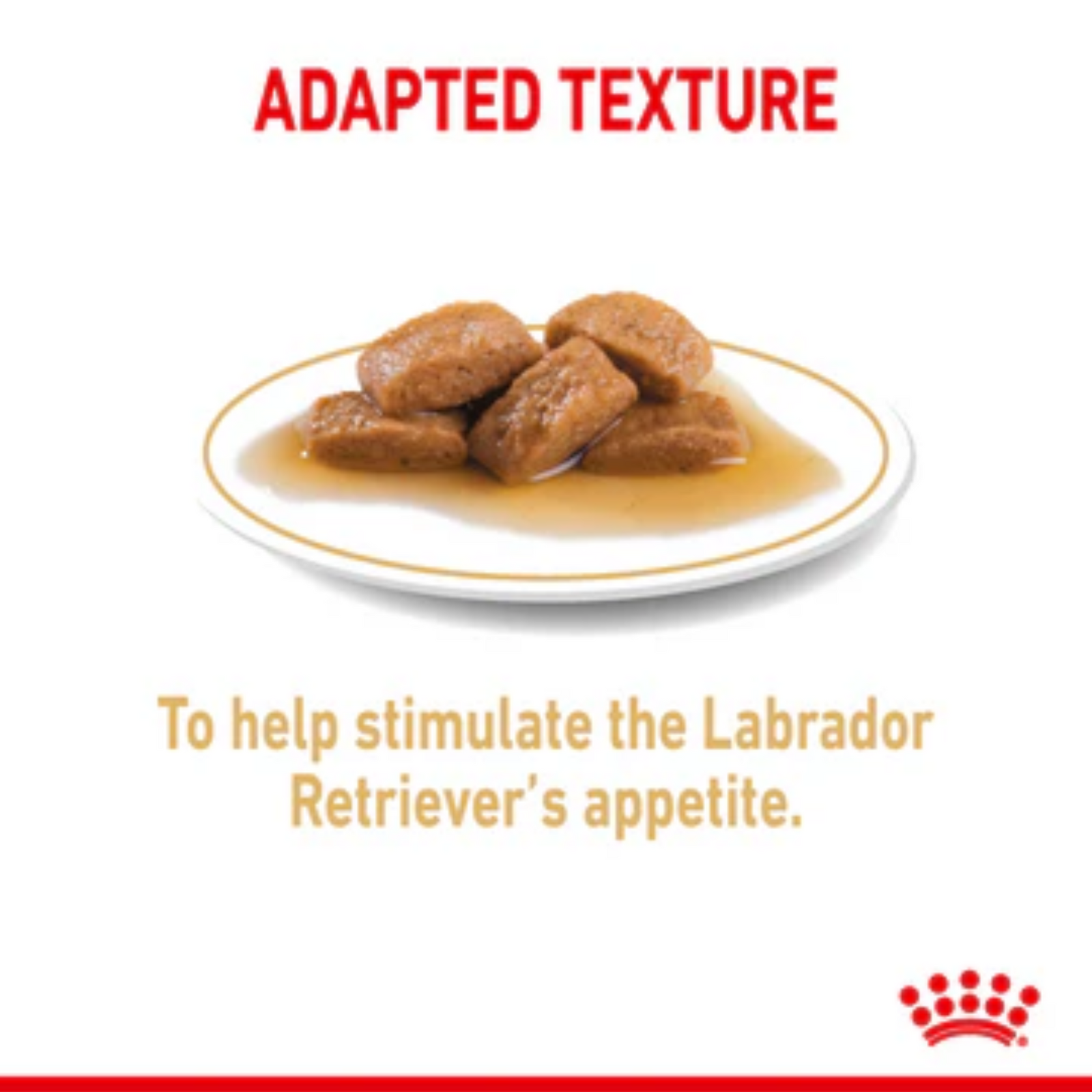 Royal Canin Chunks In Gravy Labrador Retriever Adult Dog Wet Food (10x140g) - Rufftail