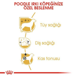 Royal Canin Poodle Adult Dry Dog Food Aged 10 Months (Buy 1 Get 1 Free)