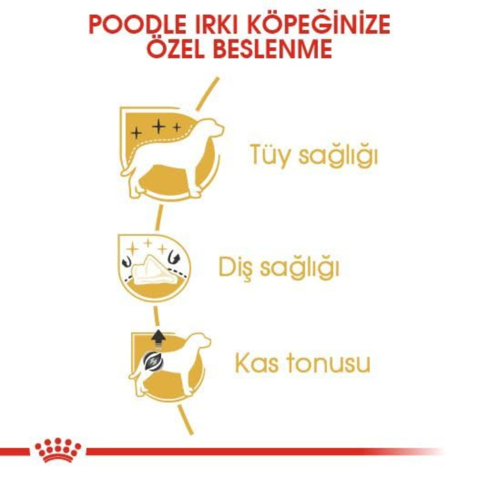 Royal Canin Poodle Adult Dry Dog Food Aged 10 Months (Buy 1 Get 1 Free)