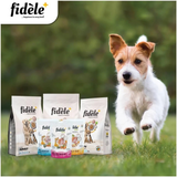 Fidele+ Fresh Chicken & Egg With Vegetables Pouch (12x100g)
