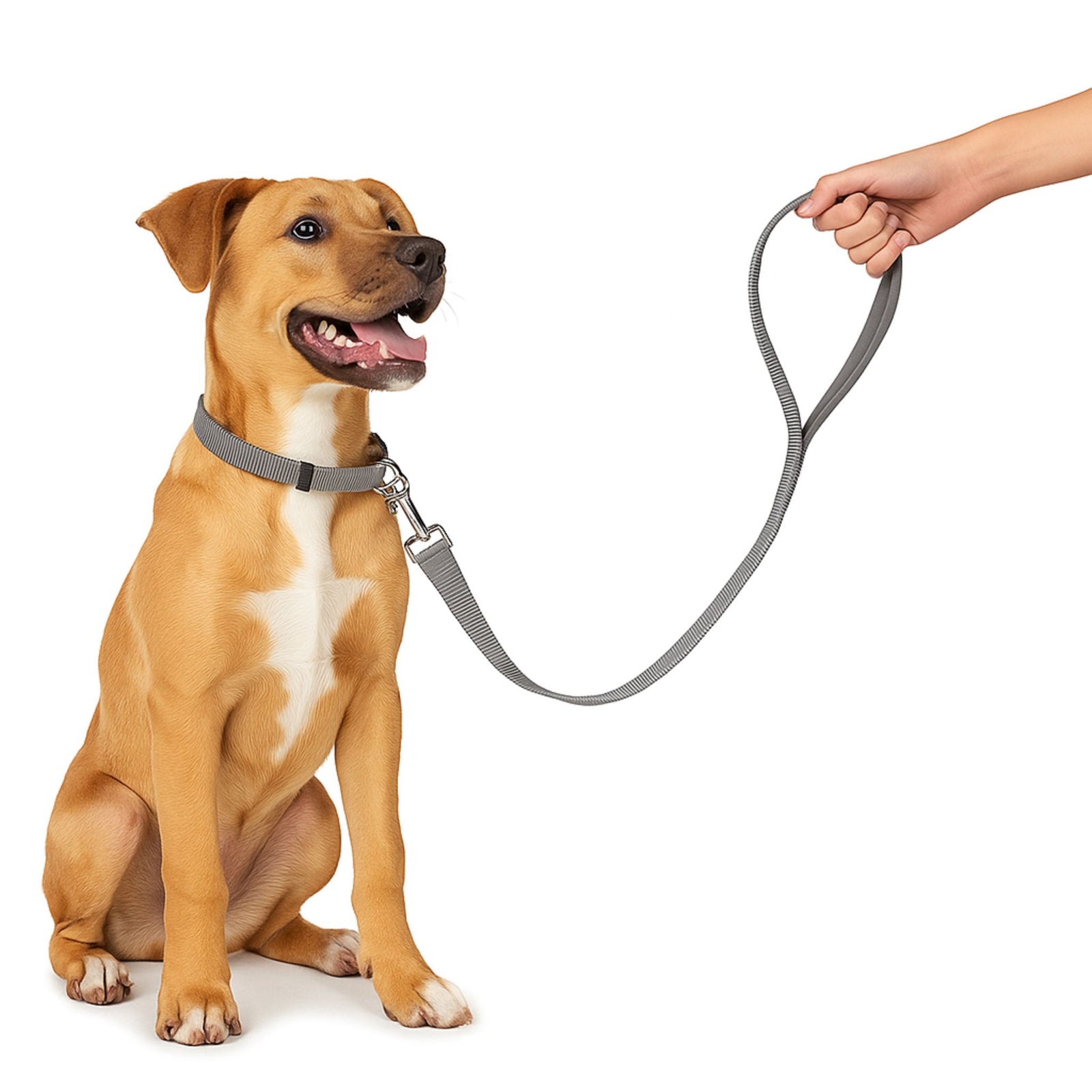 Trixie Premium Royal Blue Dog Lead L-XL product image 4 - Rufftail Pune