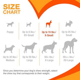 Nylabone Power Chew Flavours Frenzy Bone Triple (Pack of 3) product image 5 - Rufftail Pune