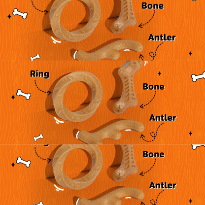 BarkButler x FOFOS Stix Dog Chew Toys Set - S/M