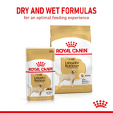 Royal Canin Chunks In Gravy Labrador Retriever Adult Dog Wet Food (10x140g) - Rufftail