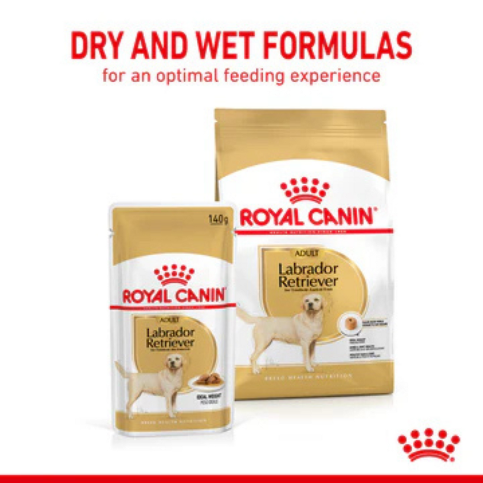 Royal Canin Chunks In Gravy Labrador Retriever Adult Dog Wet Food (10x140g) - Rufftail