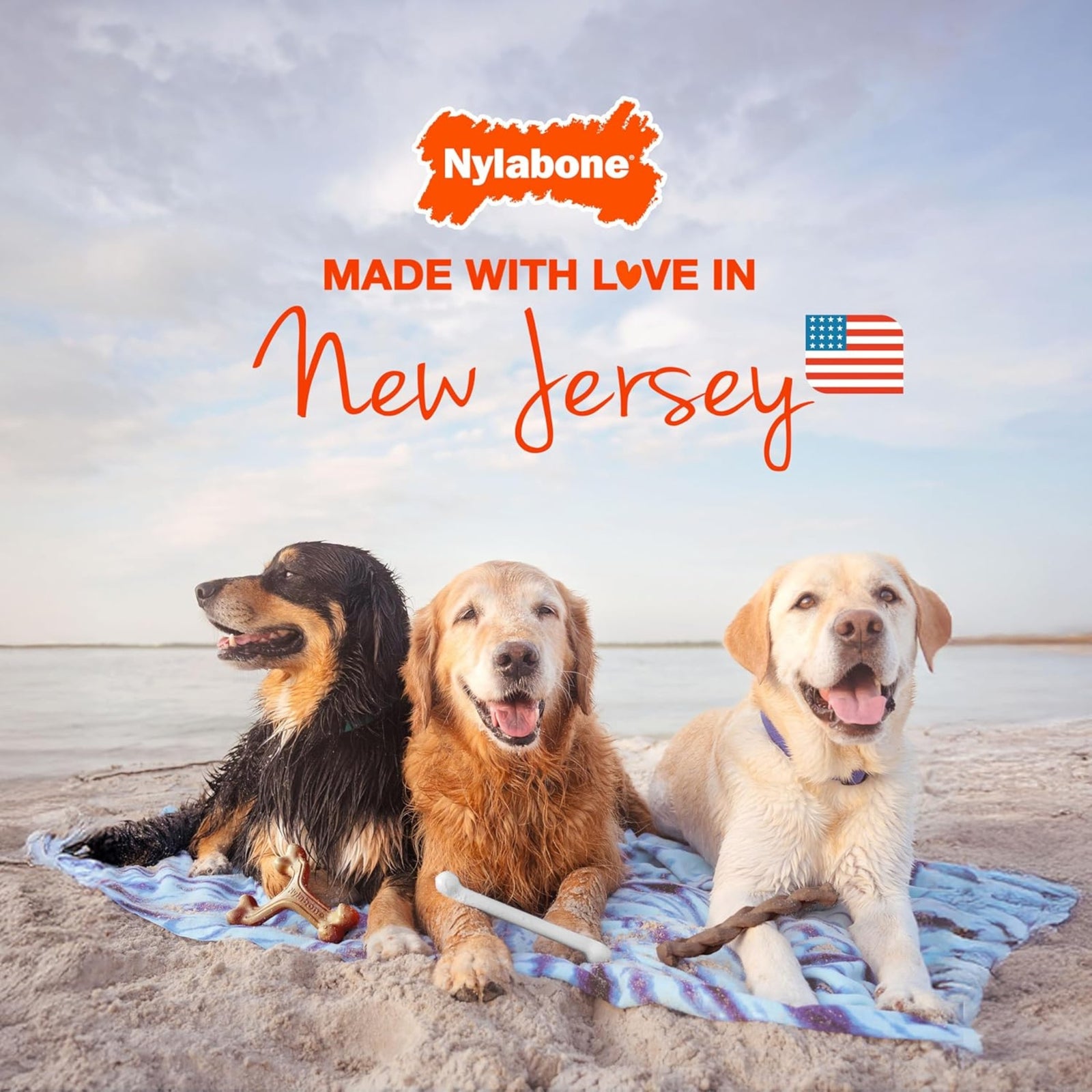 Nylabone Power Chew Flavours Frenzy Bone Triple (Pack of 3) product image 8 - Rufftail Pune