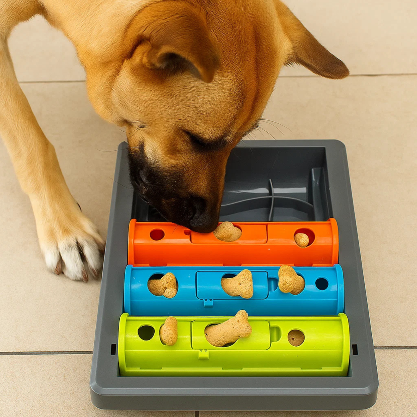 BarkButler x Fofos Interactive Treat Puzzle Dog Toy
