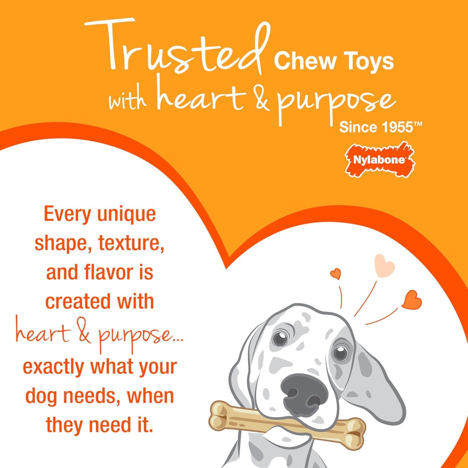 Nylabone Power Chew Flavours Frenzy Bone Triple (Pack of 3) product image 9 - Rufftail Pune