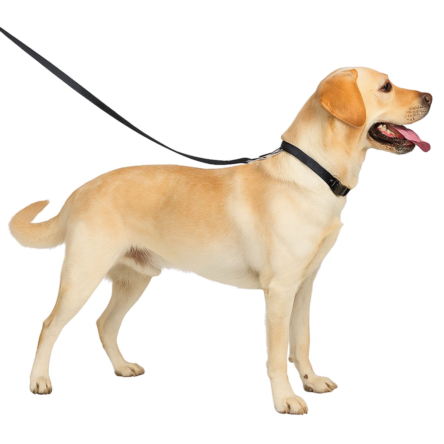 Trixie Premium Black Dog Lead M-L