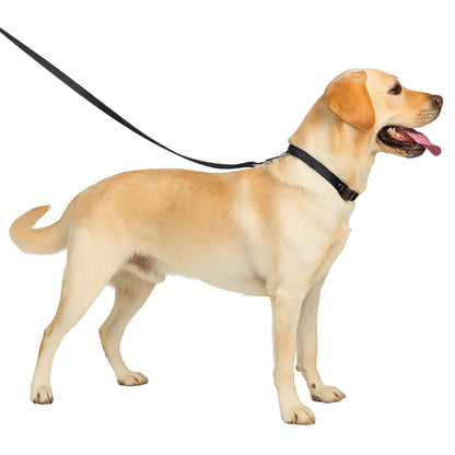 Trixie Premium Black Dog Lead M-L