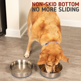 Durapet Bowl with Silicon Bonding At Bottom Food Bowl