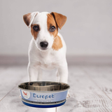 Durapet Bowl with Silicon Bonding At Bottom Food Bowl