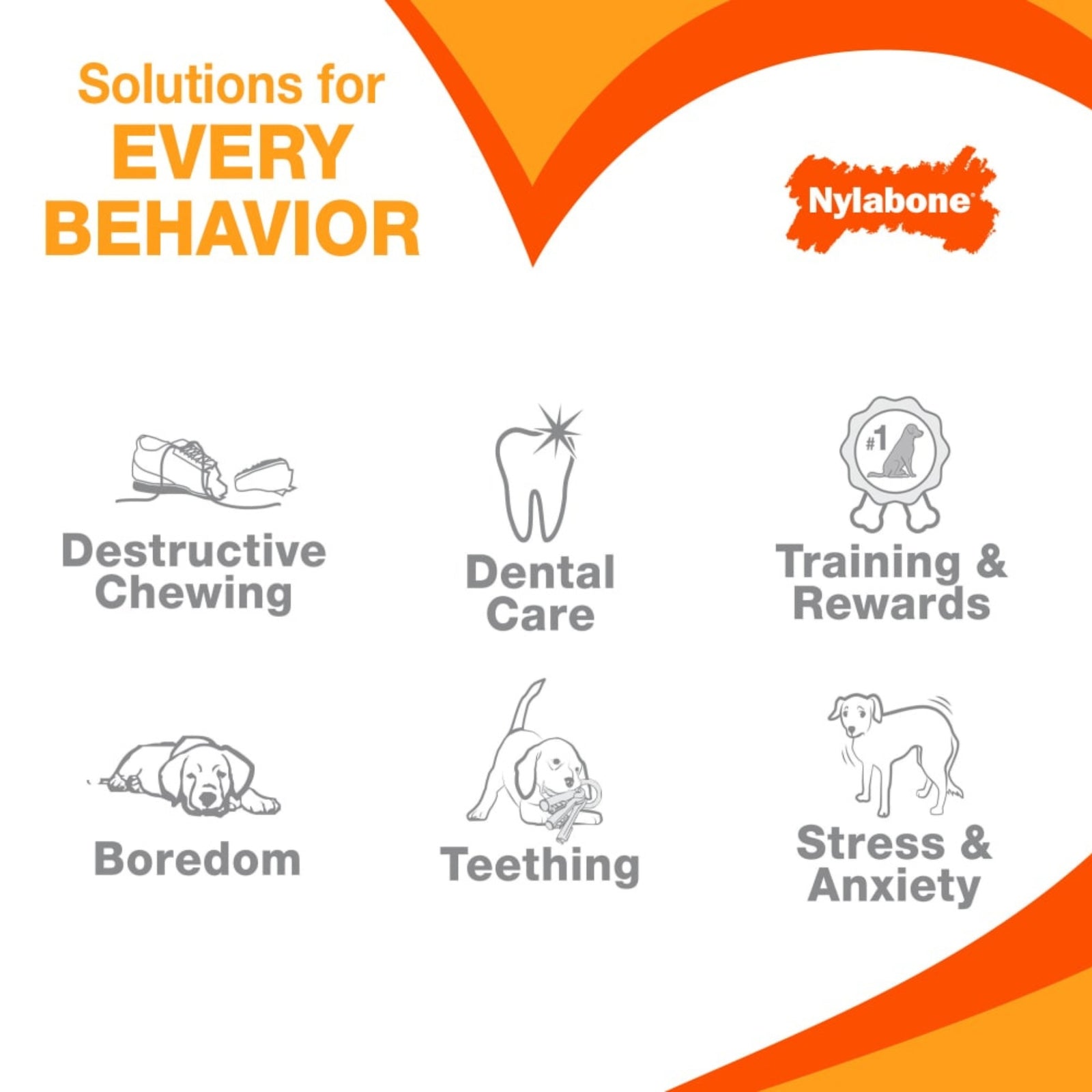 Nylabone Puppy Chew Stages Chew Toy (Pack of 3) product image 4 - Rufftail Pune