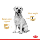 Royal Canin Chunks In Gravy Labrador Retriever Adult Dog Wet Food (10x140g) - Rufftail