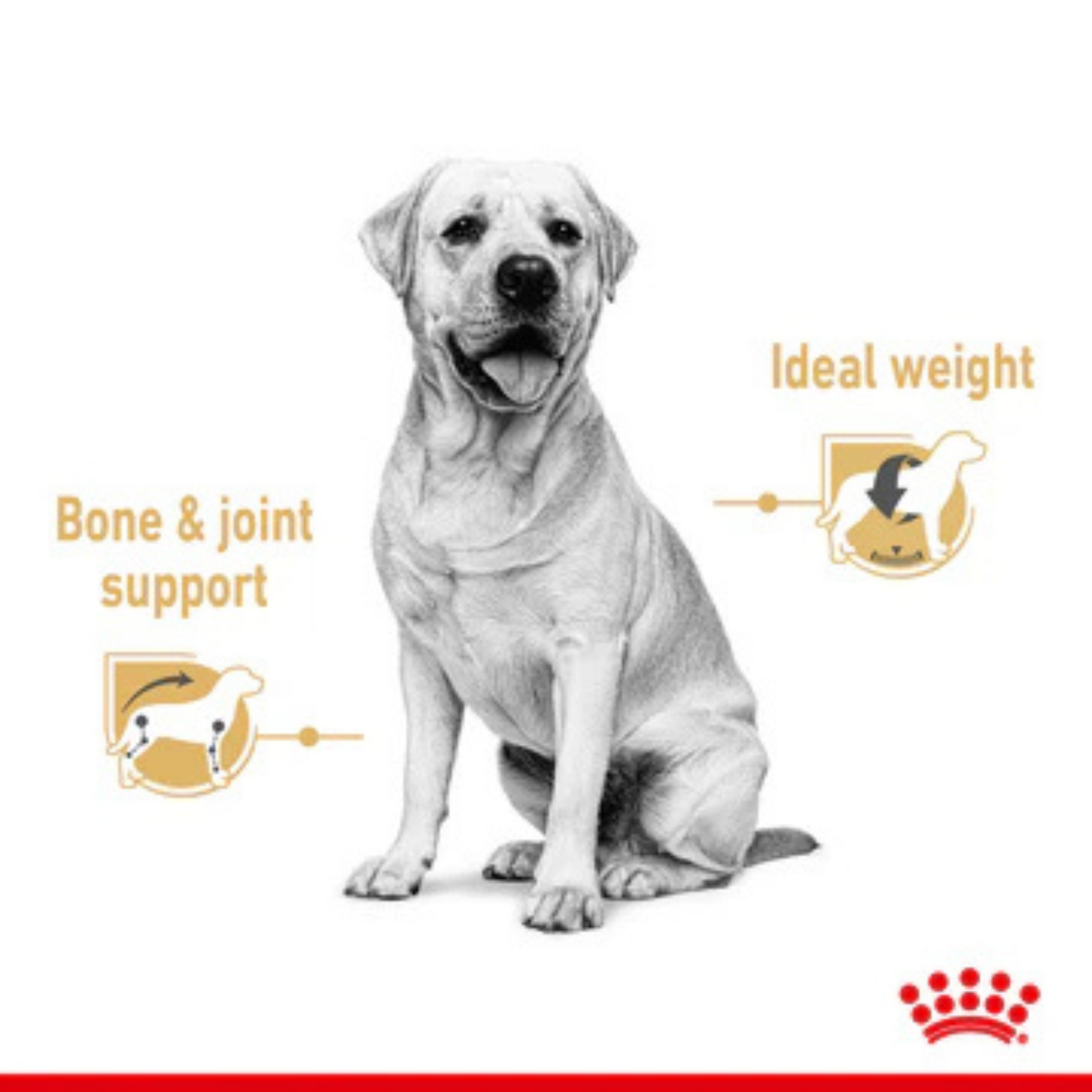 Royal Canin Chunks In Gravy Labrador Retriever Adult Dog Wet Food (10x140g) - Rufftail