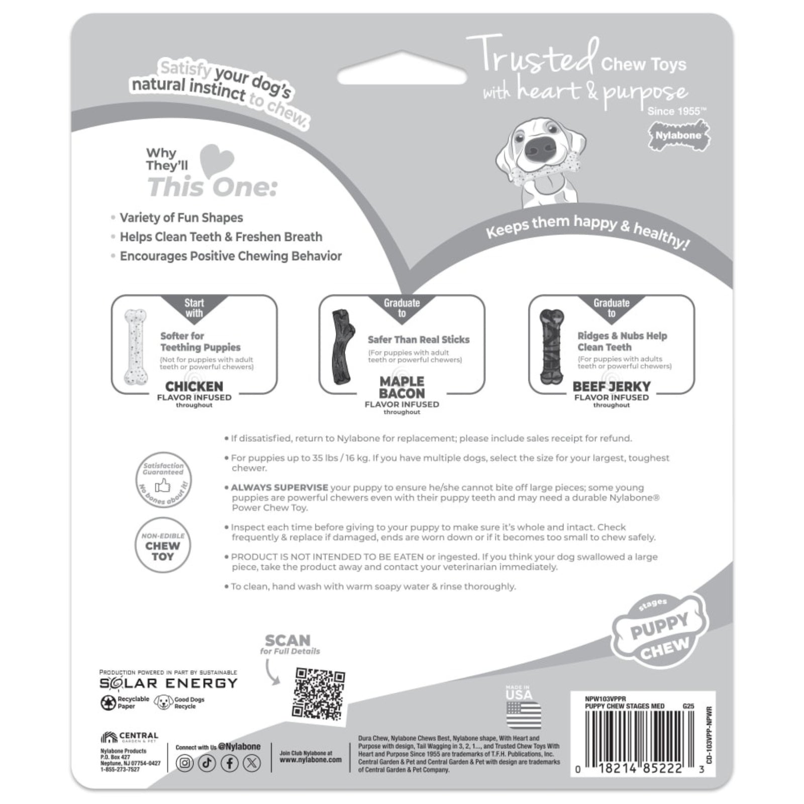 Nylabone Puppy Chew Stages Chew Toy (Pack of 3) product image 5 - Rufftail Pune