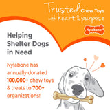 Nylabone Puppy Chew Stages Chew Toy (Pack of 3) product image 8 - Rufftail Pune