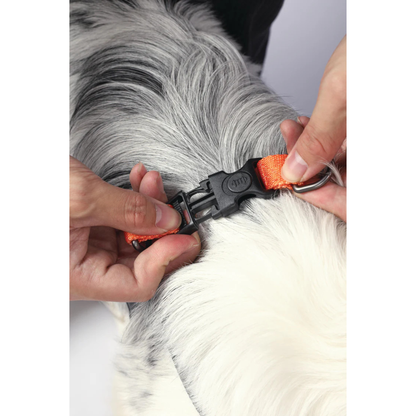 M-Pets WILD Jungle Harness for Dogs - Rufftail