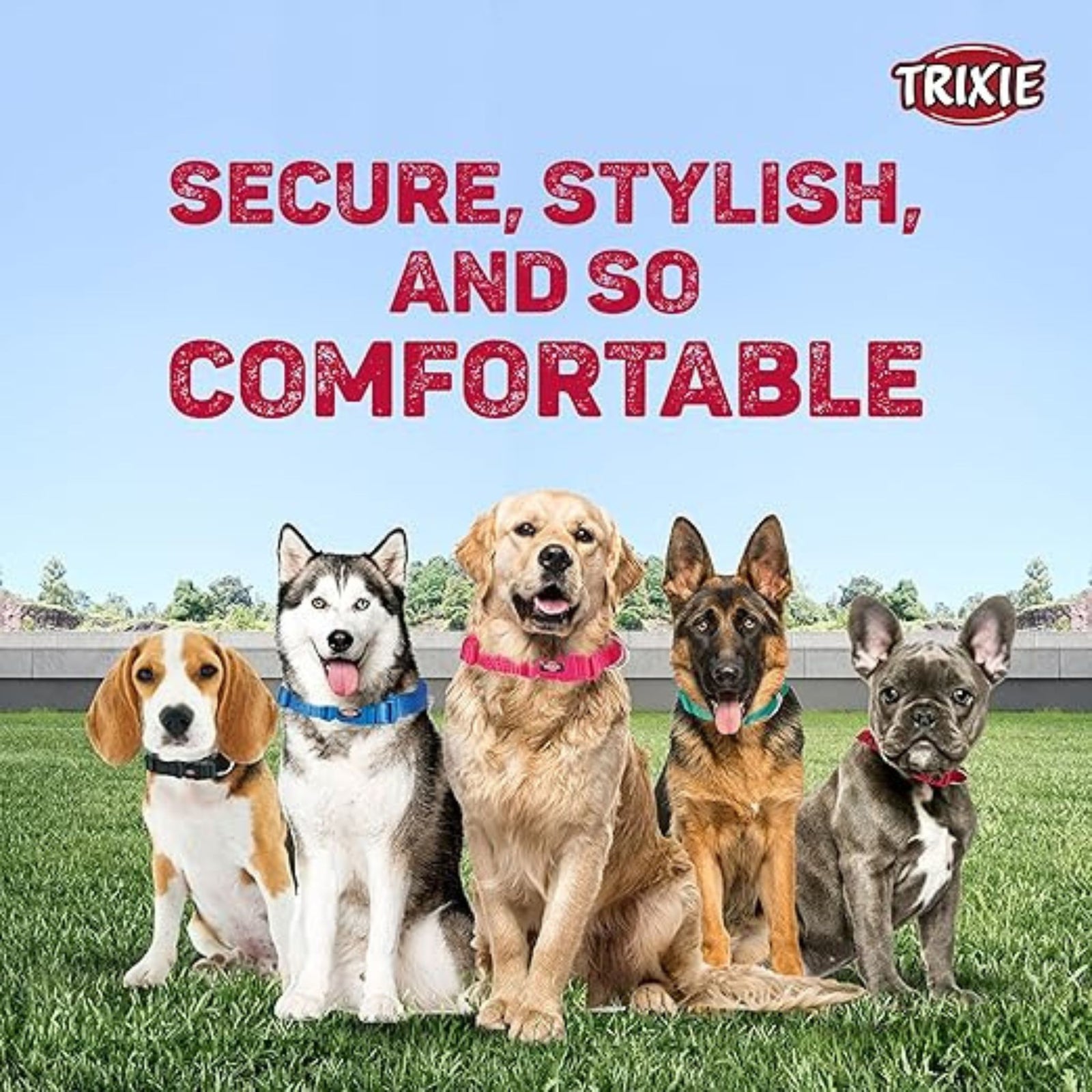 Trixie Premium Dog Collar- Jet Black product image 5 - Rufftail Pune