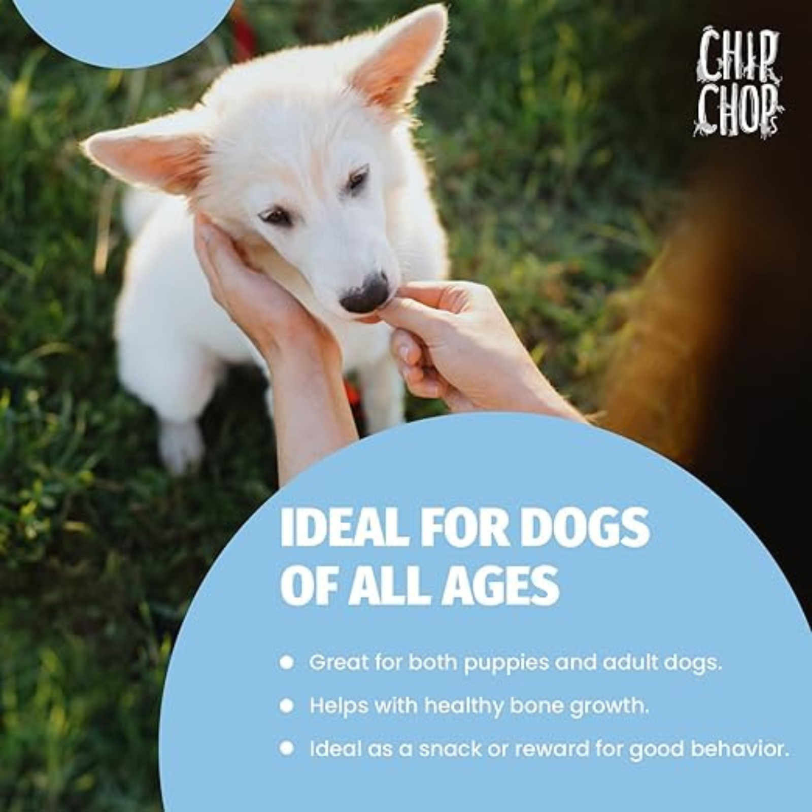 Chip Chops Chicken Chips Coins Treats - 70g - Rufftail