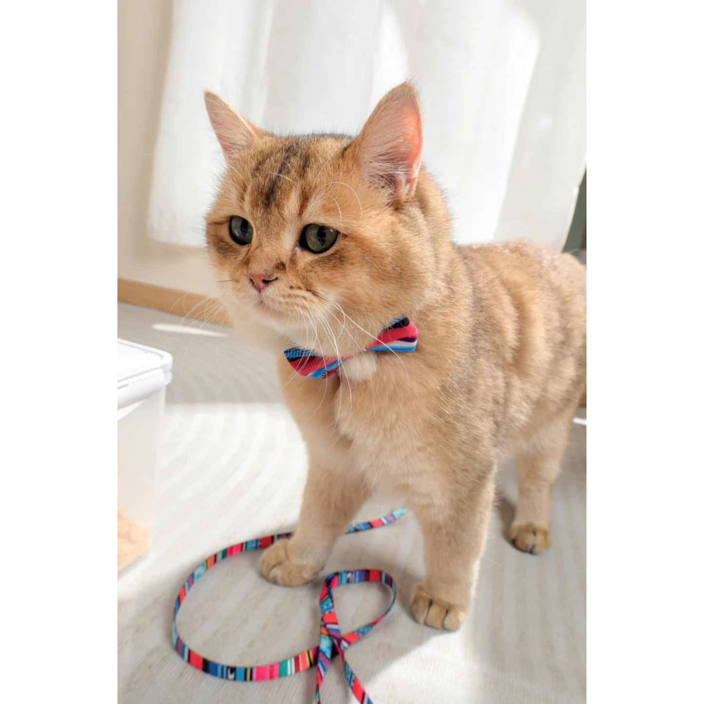M-Pets URBAN STYLE Jazz Stripes Bow Tie Assorted