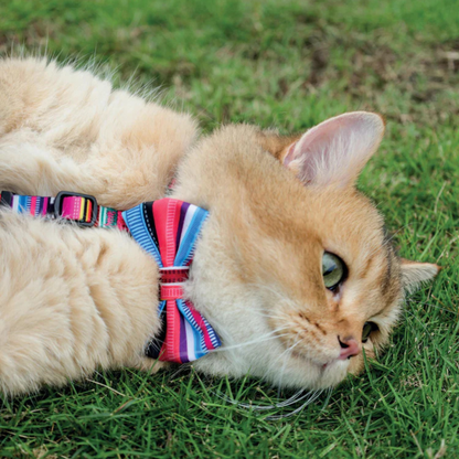 M-Pets URBAN STYLE Jazz Stripes Bow Tie Assorted
