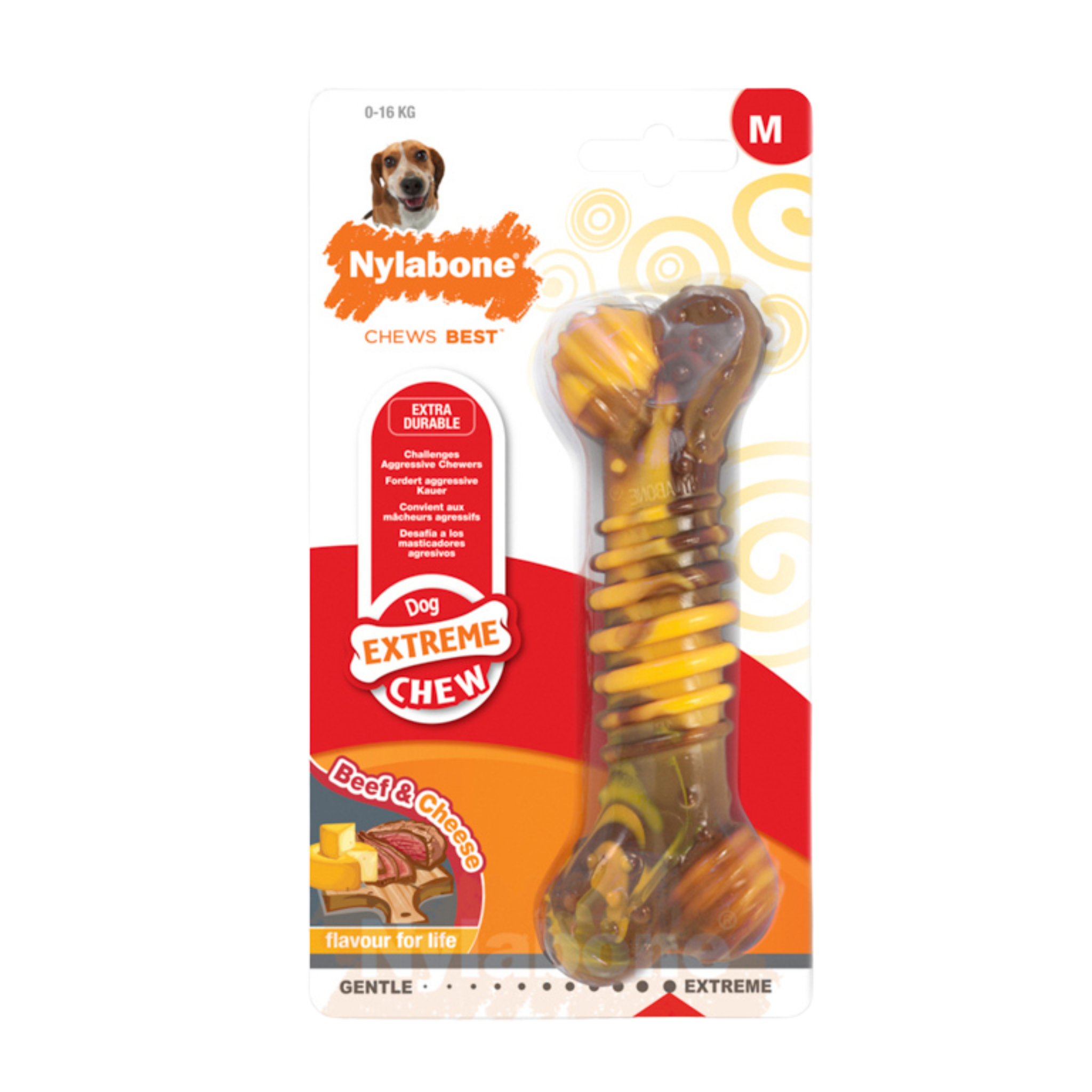 Nylabone Beef with Cheese Extreme Texture Bone – Medium - Rufftail