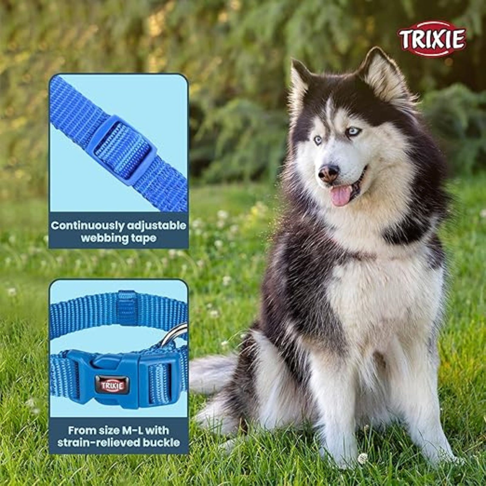 Trixie Premium Dog Collar- Royal Blue product image 3 - Rufftail Pune