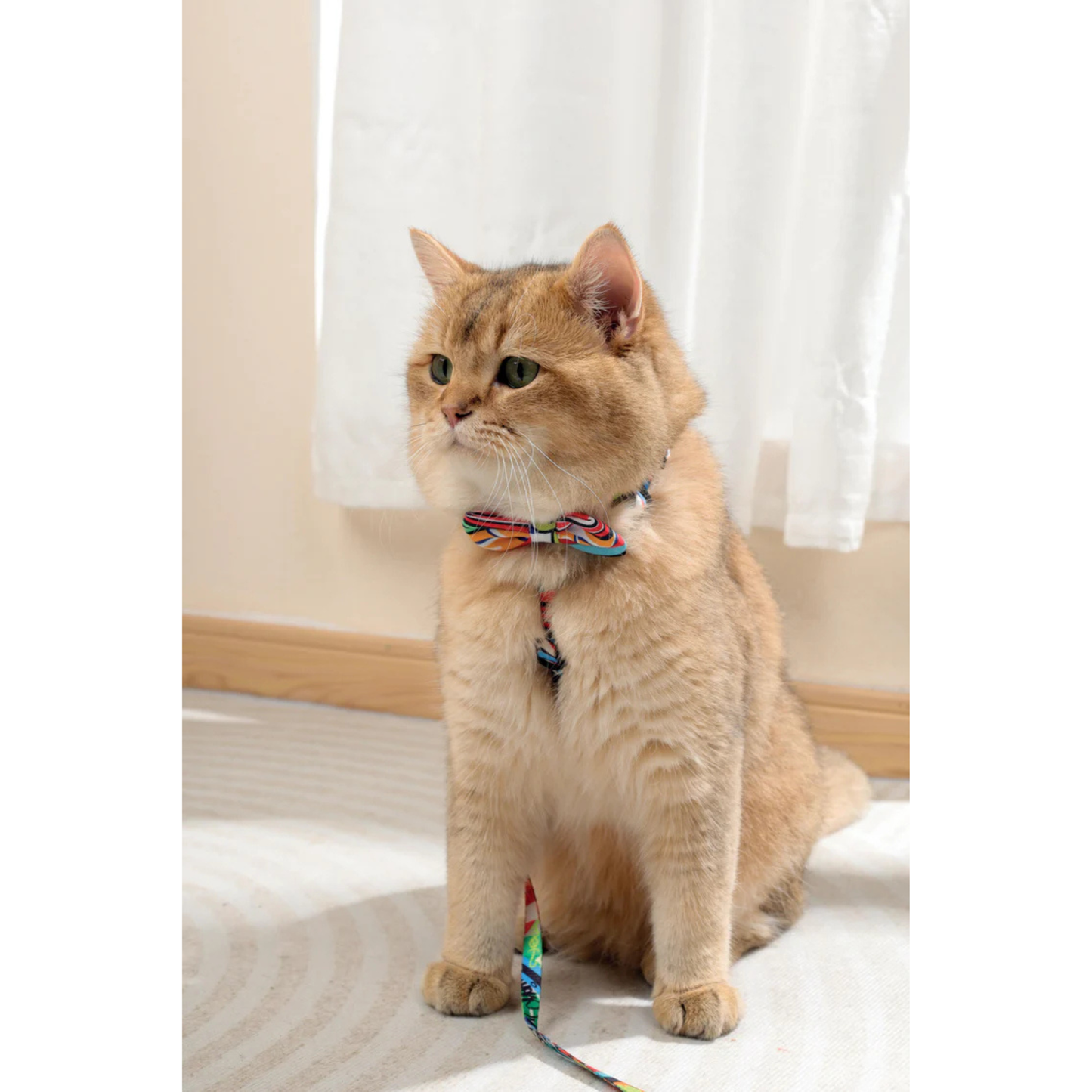 M-Pets URBAN STYLE Freestyle Box Tie Assorted