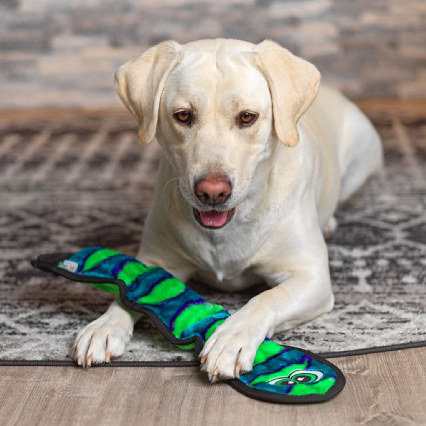 Outward Hound Durablez Snake Squeaky Interactive Dog Toy - Blue LG