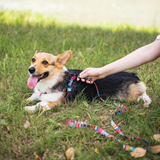 M-Pets URBAN STYLE Jazz Stripes Harness For Dogs - Rufftail