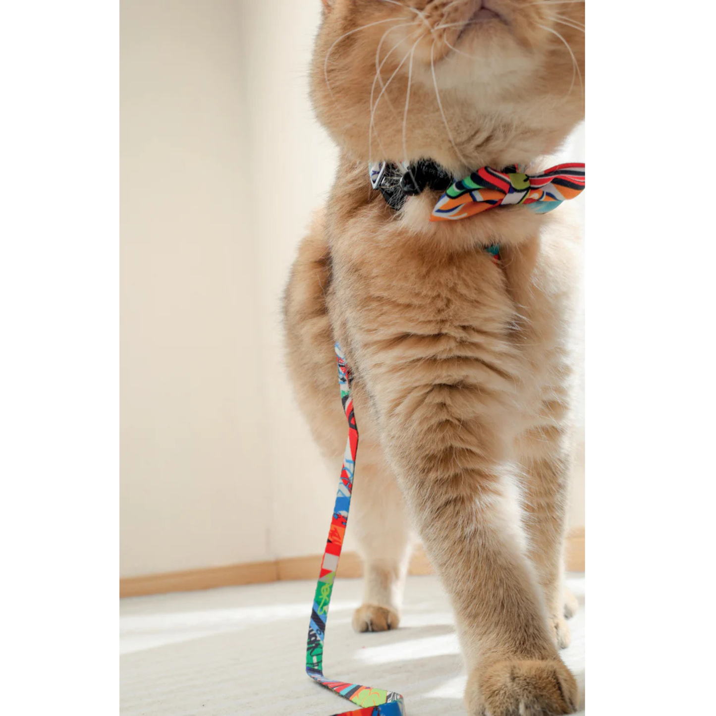 M-Pets URBAN STYLE Freestyle Box Tie Assorted