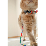 M-Pets URBAN STYLE Freestyle Box Tie Assorted product image 8 - Rufftail Pune
