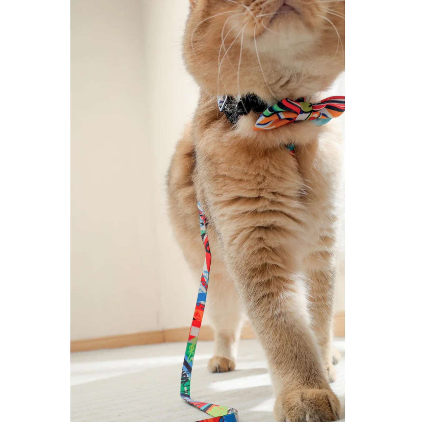 M-Pets URBAN STYLE Freestyle Box Tie Assorted product image 8 - Rufftail Pune