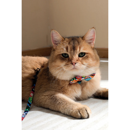 M-Pets URBAN STYLE Freestyle Box Tie Assorted