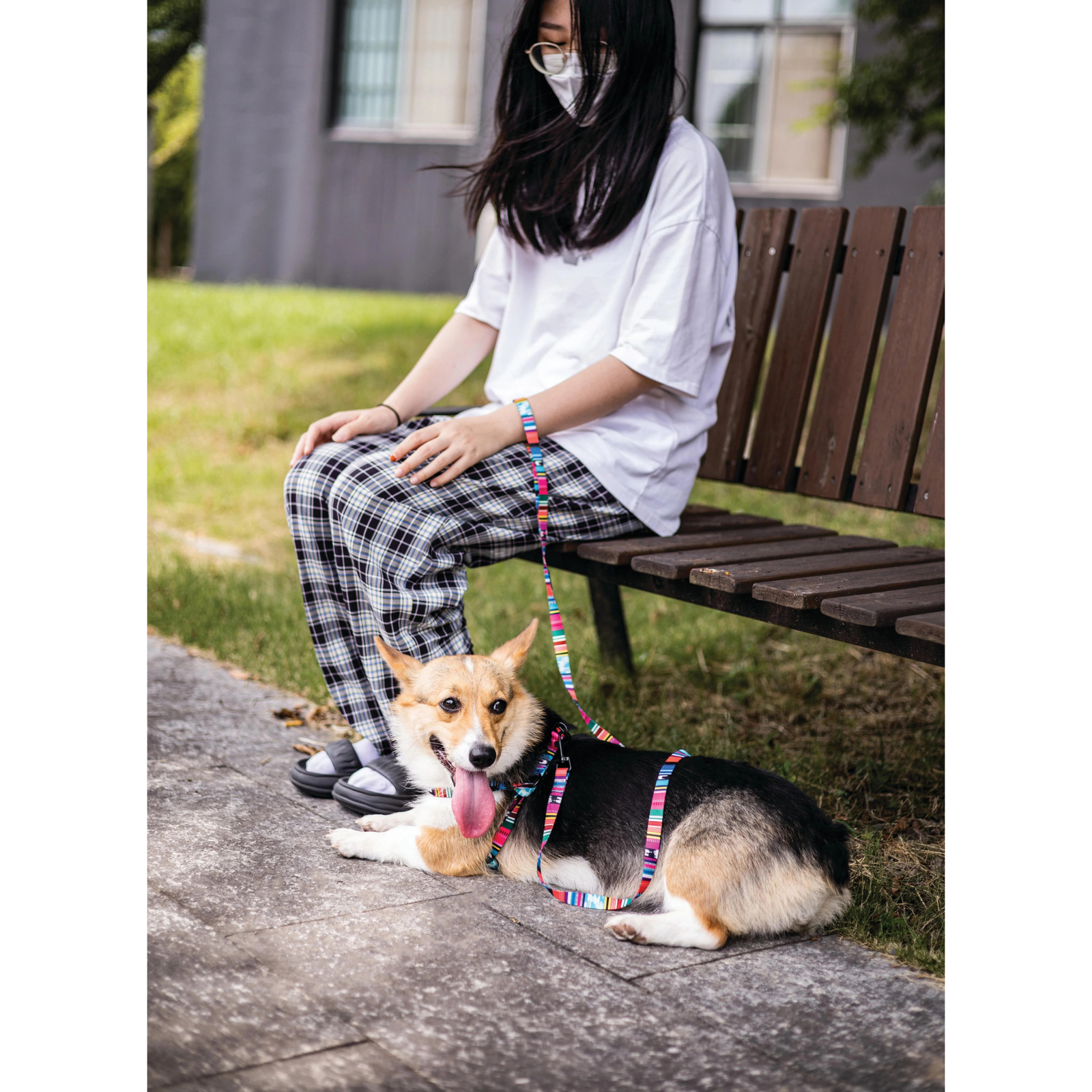M-Pets URBAN STYLE Jazz Stripes Harness For Dogs - Rufftail