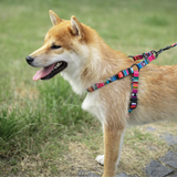 M-Pets URBAN STYLE Jazz Stripes Harness For Dogs - Rufftail