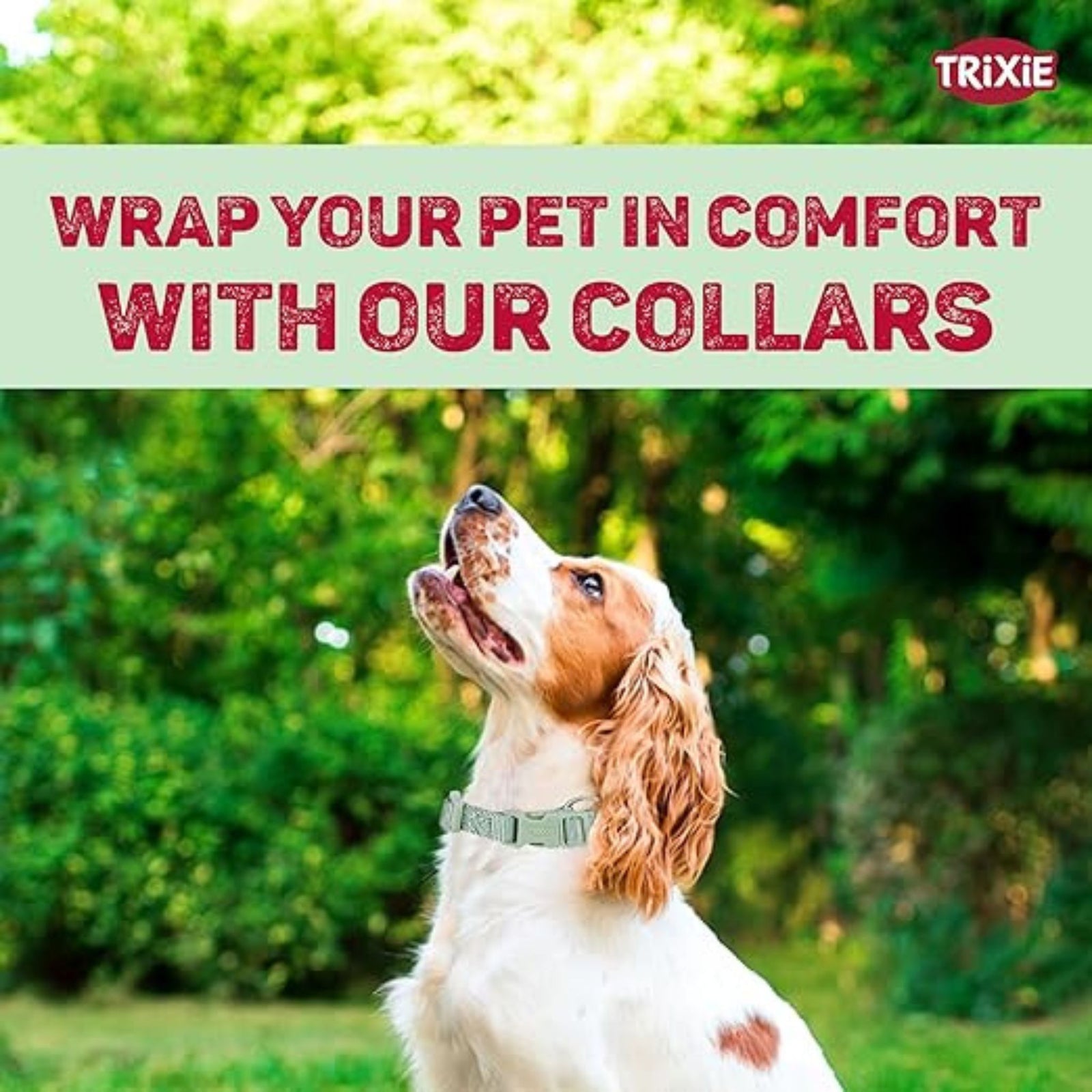 Trixie Premium Dog Collar Sage S-M product image 5 - Rufftail Pune
