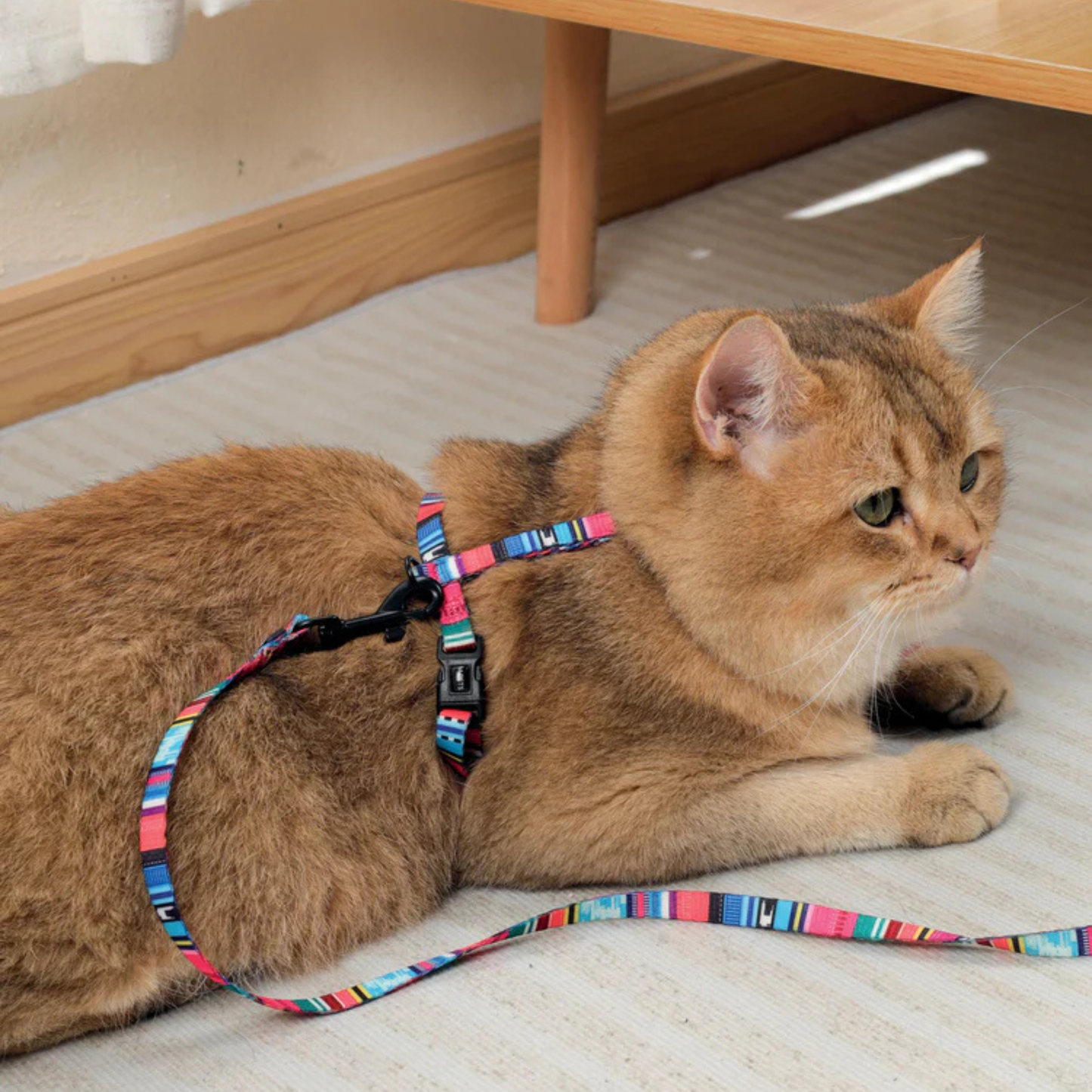 M-Pets URBANSTYLE Jazz Stripes Cat ECO SET (harness & leash)