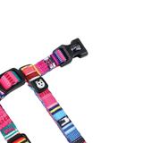 M-Pets URBANSTYLE Jazz Stripes Cat ECO SET (harness & leash) product image 5 - Rufftail Pune