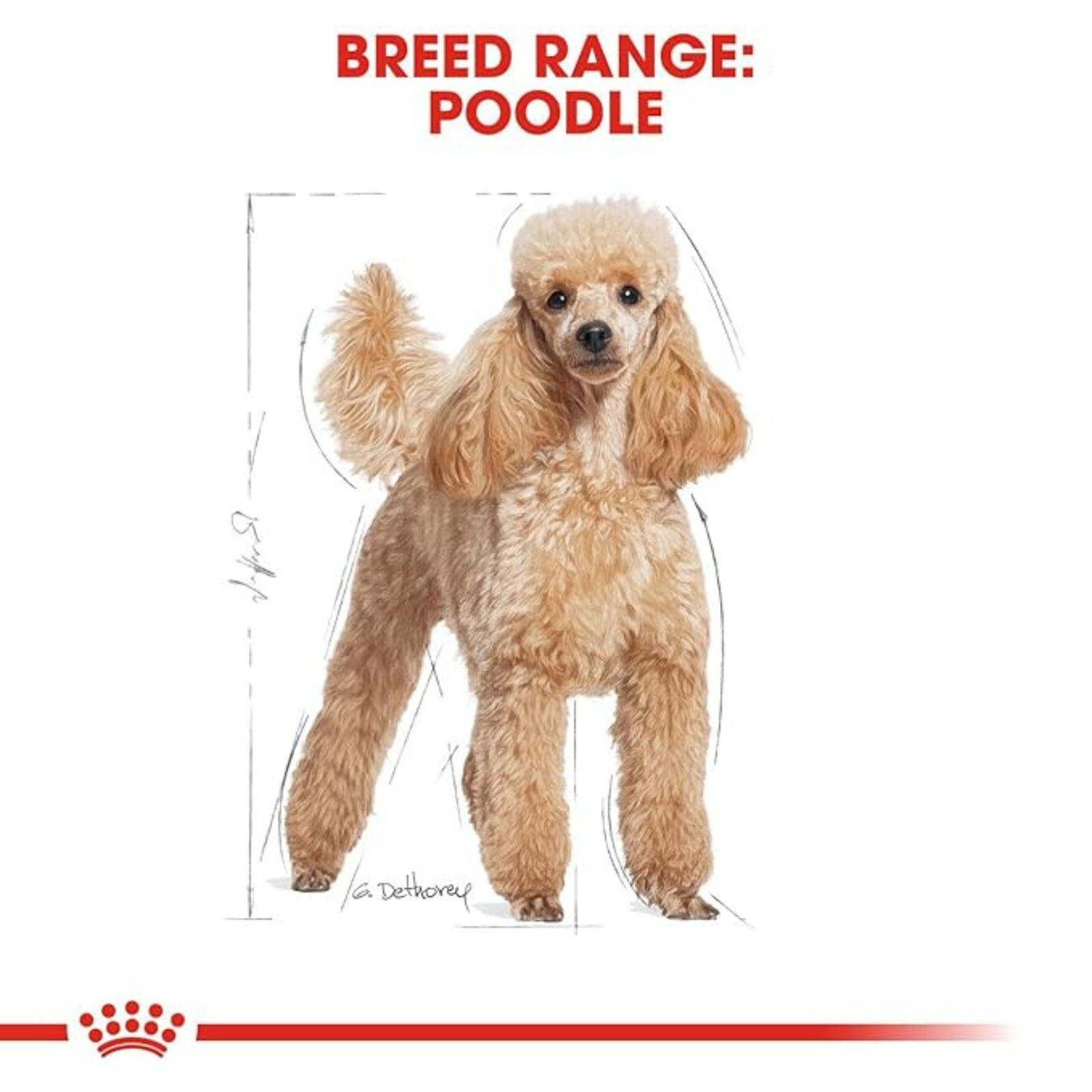 Royal Canin Poodle Adult Dry Dog Food product image 6 - Rufftail Pune