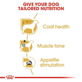 Royal Canin Poodle Adult Dry Dog Food product image 2 - Rufftail Pune
