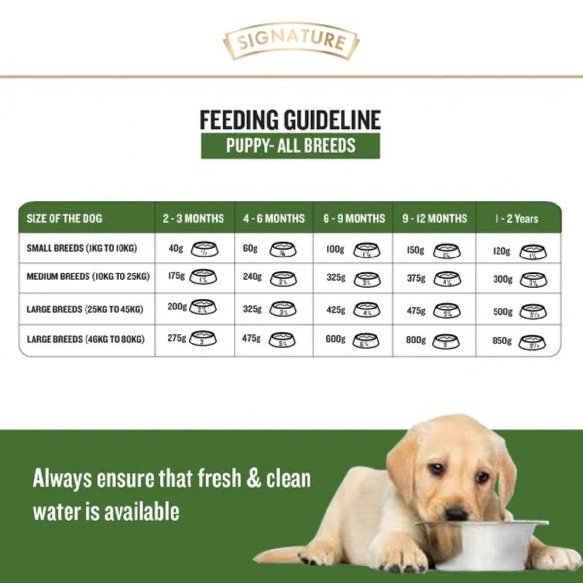 Signature Grain Zero Real Chicken, Egg and Vegetables Puppy Dog Dry Food- All Breeds