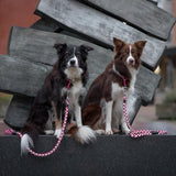 Trixie Cavo Reflect Adjustable Dog Lead Reflective- Fuchsia product image 6 - Rufftail Pune