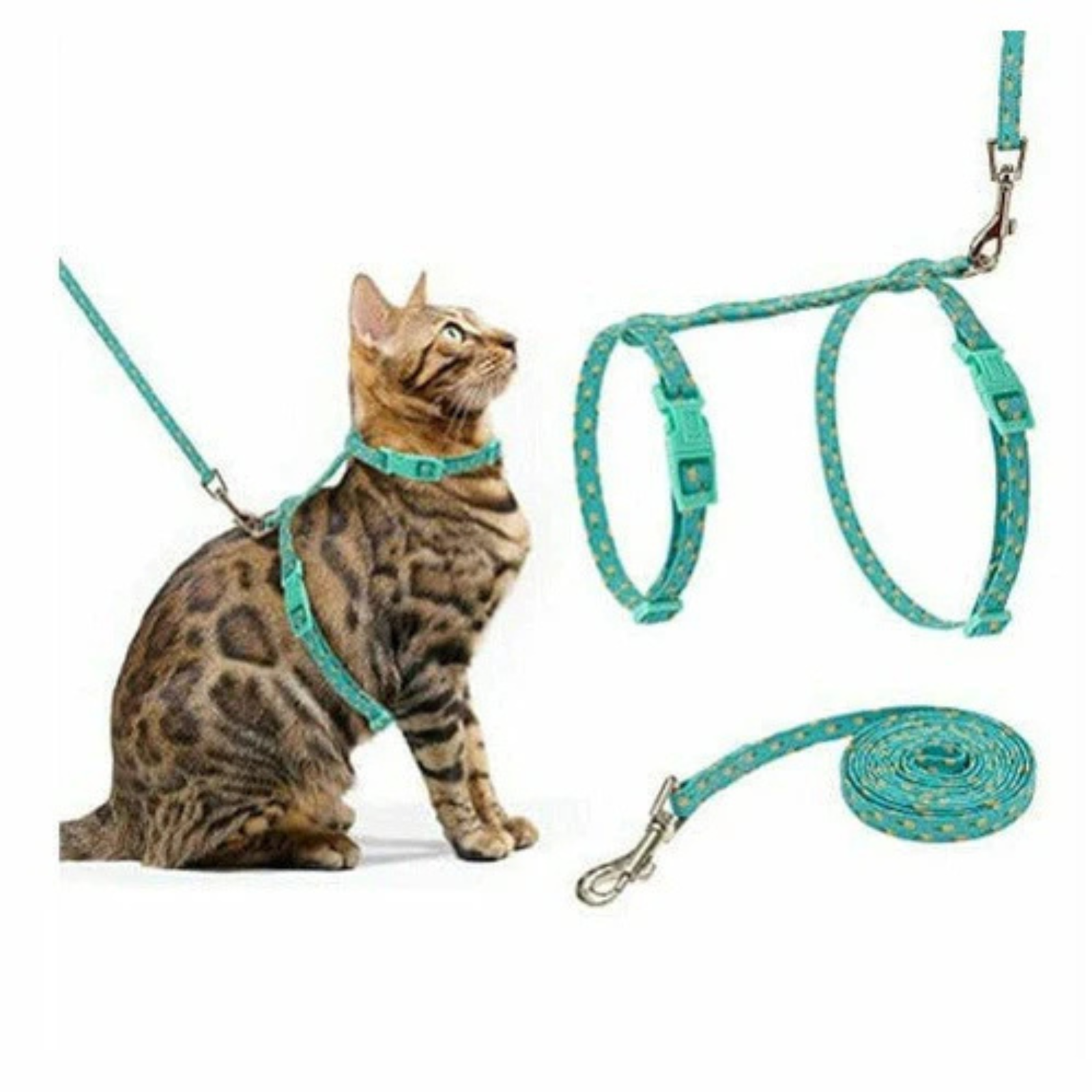 M-Pets CATOGO Cat Harness & Leash Set- Blue product image 2 - Rufftail Pune