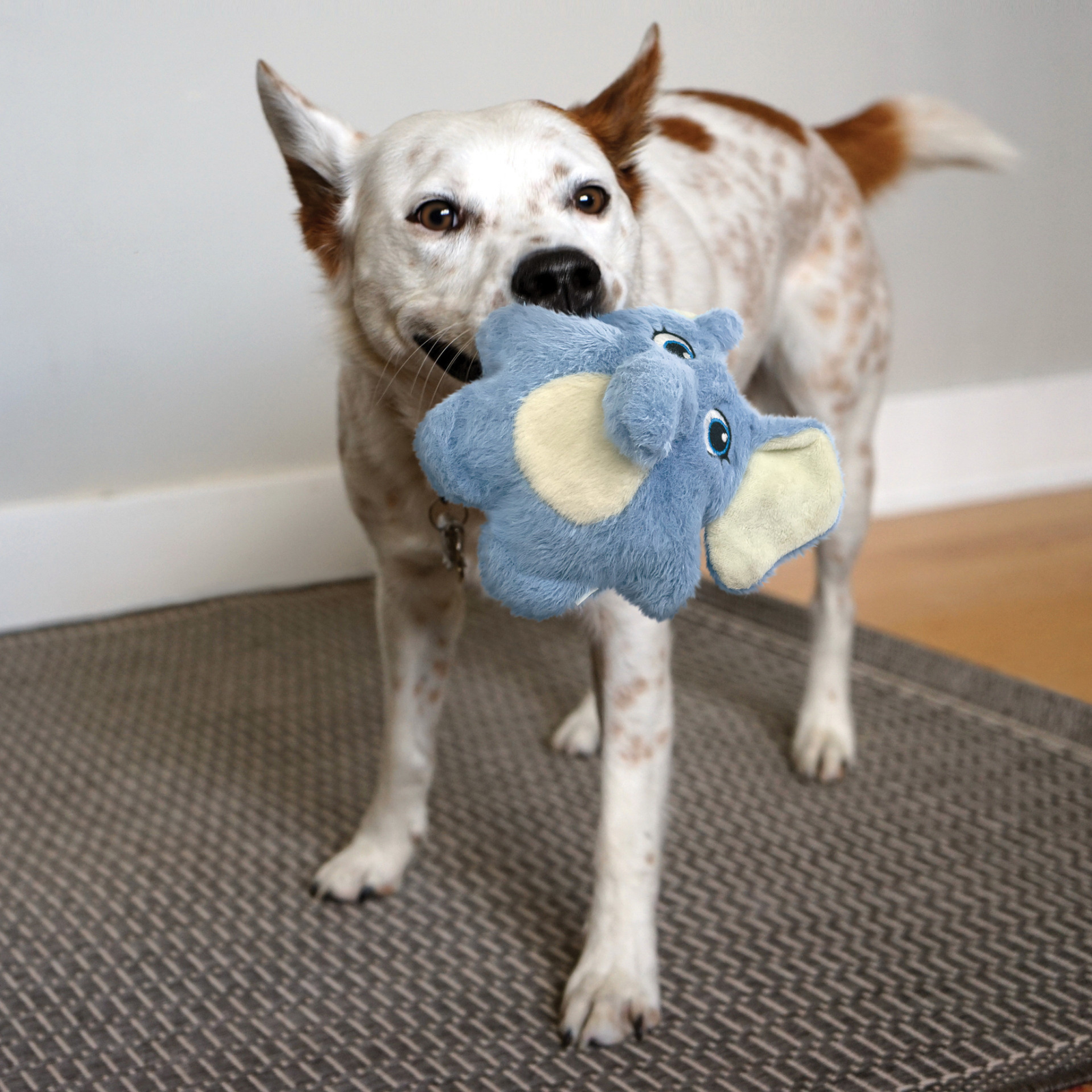 KONG Snuzzles Kiddos Elephant Dog Toy- Soft & Squeaky product image 4 - Rufftail Pune