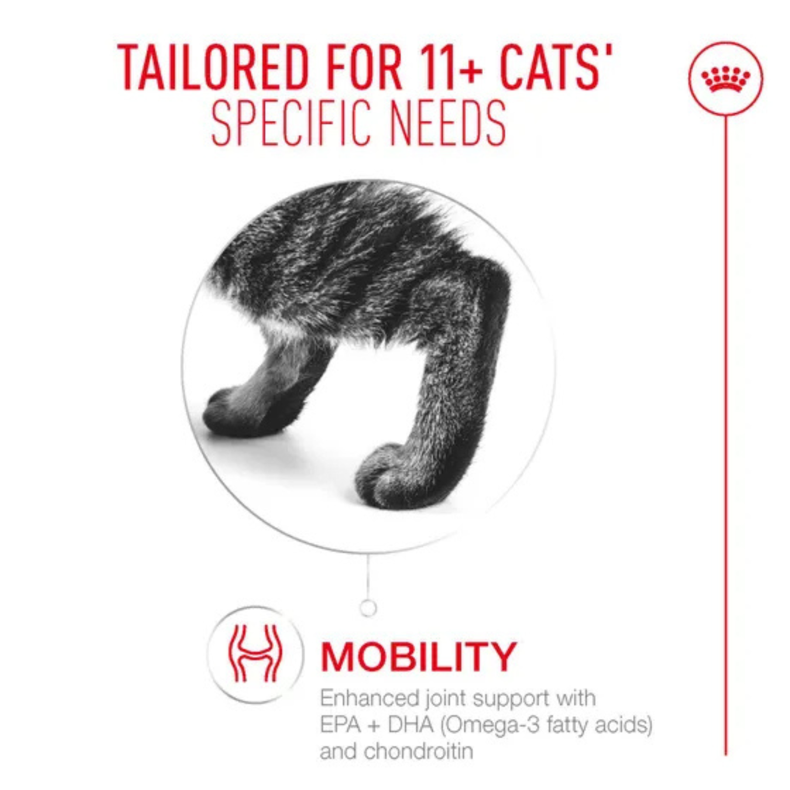 Royal Canin Ageing 11+ Gravy Wet Cat Food 85g