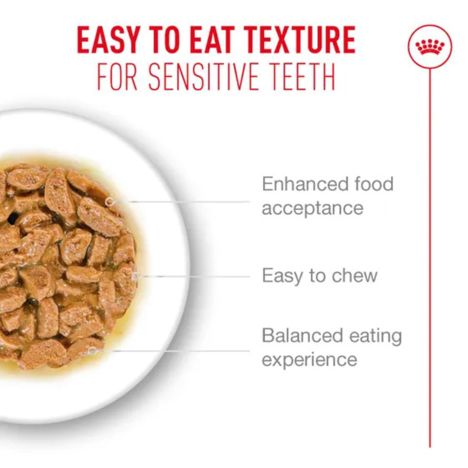 Royal Canin Ageing 11+ Gravy Wet Cat Food 85g
