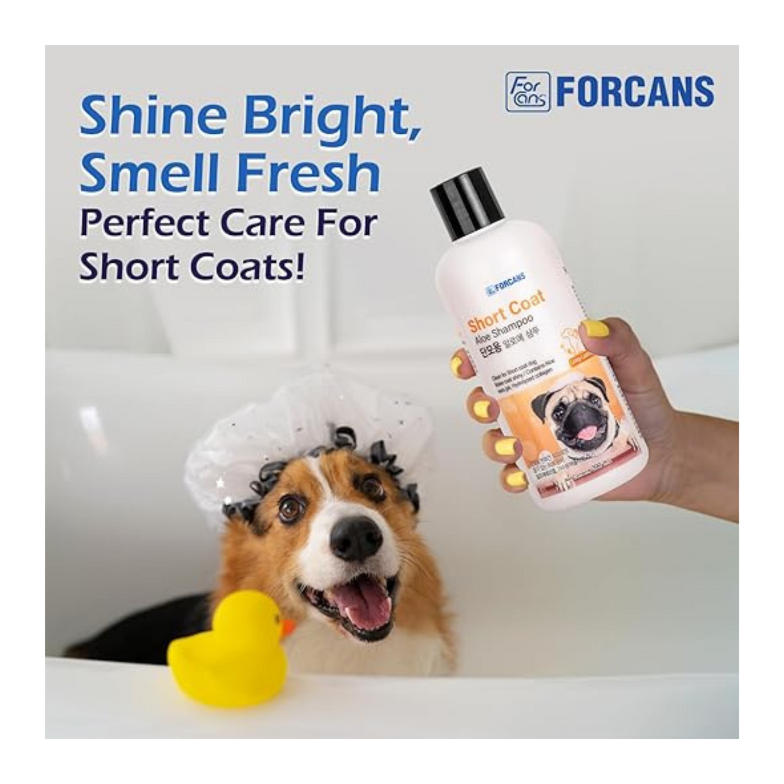 Forcans Aloe Dog Shampoo - Short Coats, Moisturizing & Soothing Formula (300 ml) - Rufftail