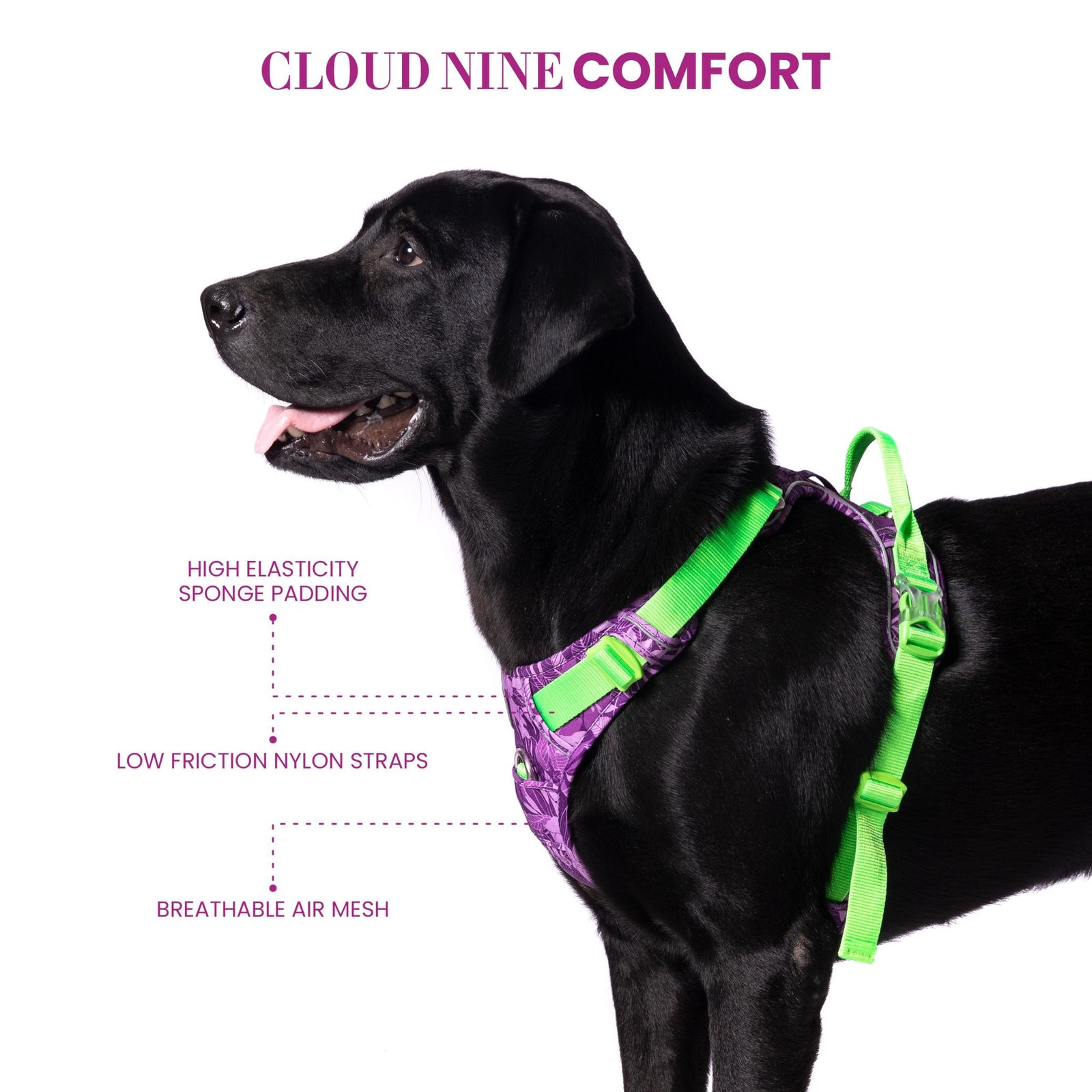 Truelove No-Pull Special Edition Harness for Dogs- Camouflage Purple product image 2 - Rufftail Pune